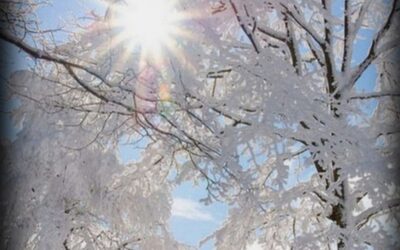 ČESTITKA ZA BOŽIĆ!