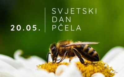 SVJETSKI DAN PČELA